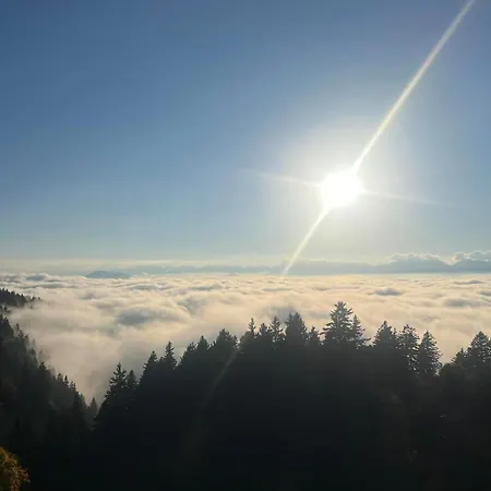 Cocon Alpin - Vue Sublime Montagne - 150m Telecabine Апартаменты