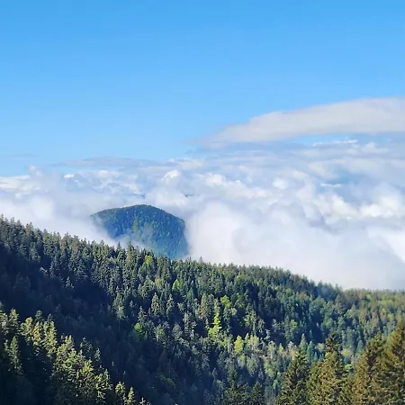Cocon Alpin - Vue Sublime Montagne - 150m Telecabine Chamrousse