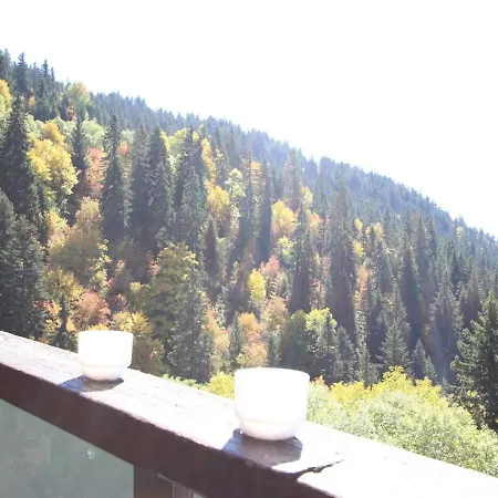 Cocon Alpin - Vue Sublime Montagne - 150m Telecabine Apartment Chamrousse